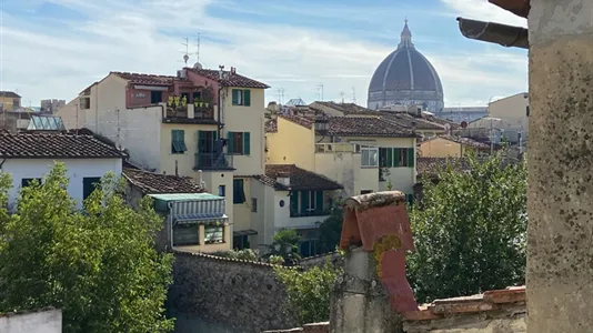 Apartments in Florence - photo 4