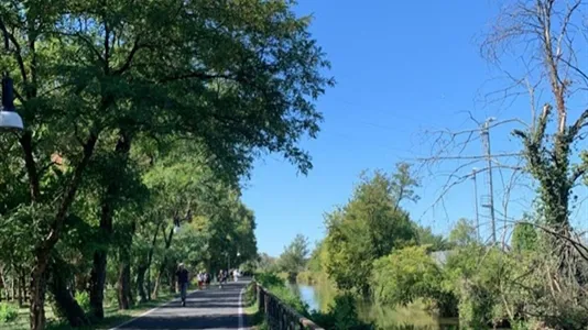 Rooms in Vimodrone - photo 8