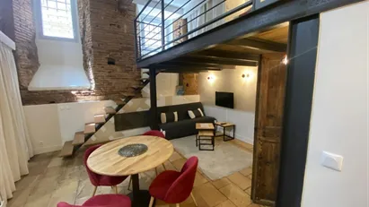 Apartment for rent in Toulouse, Occitanie