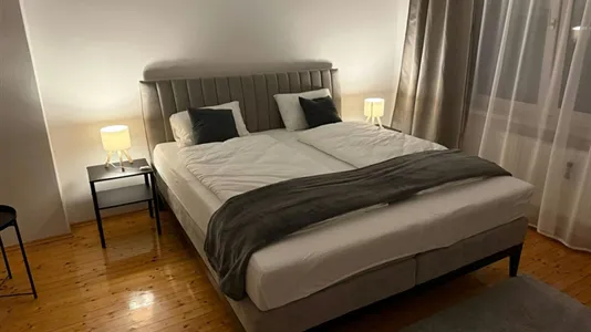 Apartments in Graz - photo 5