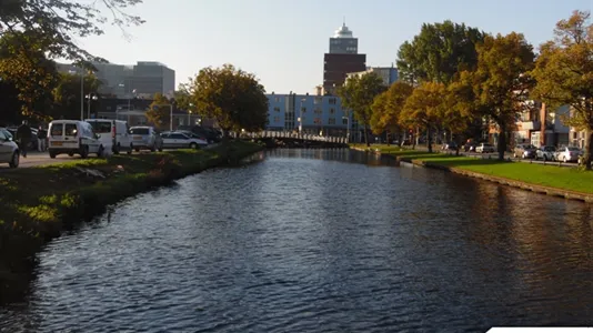 Rooms in Leiden - photo 10