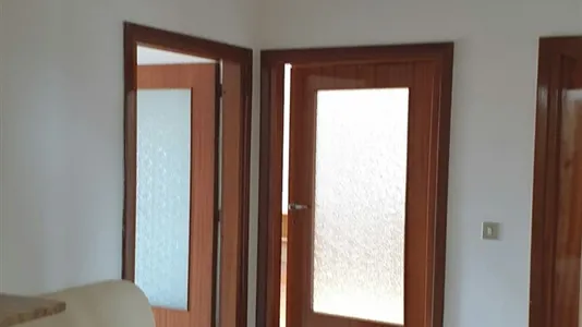 Rooms in Trento - photo 4