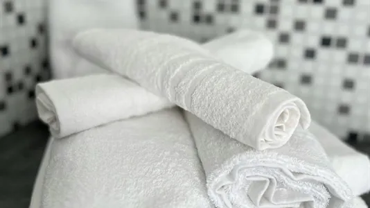 Apartments in Pisa - photo 9