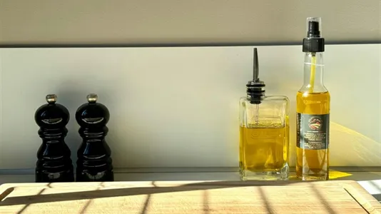 Houses in Rotterdam Prins Alexander - photo 5