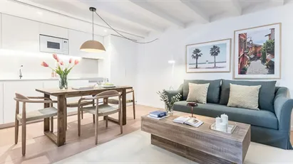 Apartment for rent in Barcelona Ciutat Vella, Barcelona