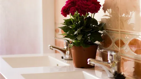 Rooms in Valencia Poblats Marítims - photo 10