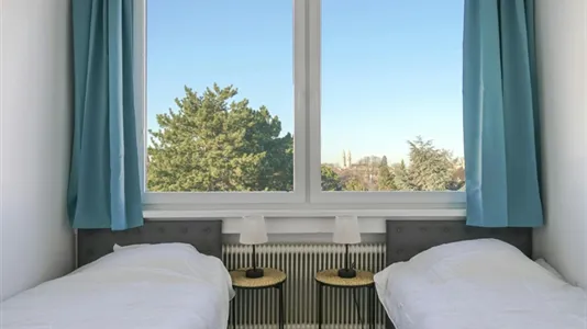 Apartments in Bad Fischau-Brunn - photo 6