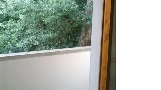 Rooms in Florence - photo 4