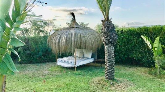 Houses in Palma de Mallorca - photo 8