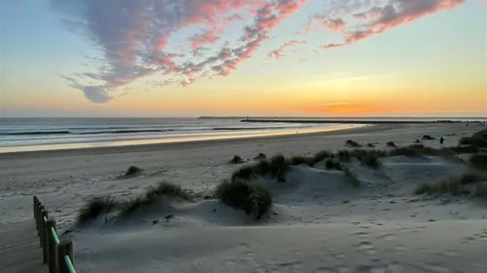 Apartments in Viana do Castelo - photo 7