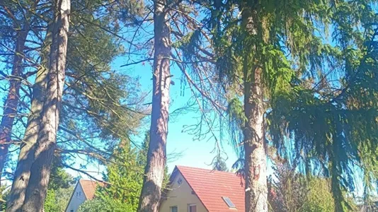 Rooms in Berlin Treptow-Köpenick - photo 7