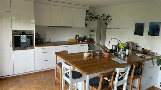 Apartments in Breisgau-Hochschwarzwald - photo 4