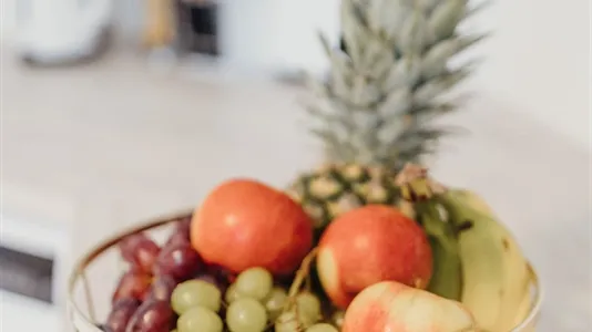 Apartments in Kassel - photo 10