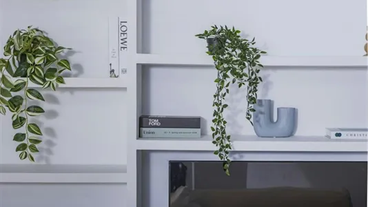 Rooms in Valencia La Zaidía - photo 4