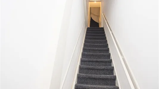 Rooms in Rotterdam Delfshaven - photo 9