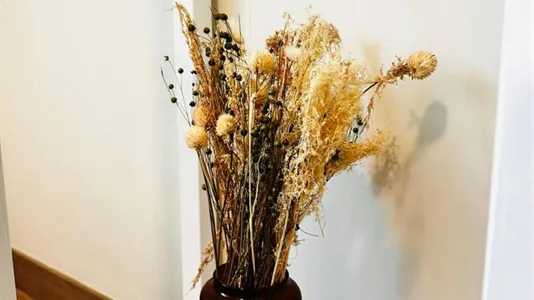 Rooms in Madrid Salamanca - photo 6