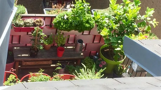 Rooms in Strasbourg - photo 7