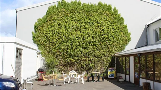 Rooms in Reykjavík Hlíðar - photo 9