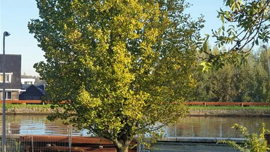 Rooms in Waddinxveen - photo 7