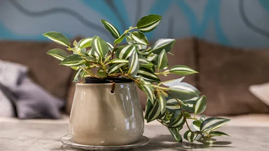 Apartments in Location is not specified - photo 6