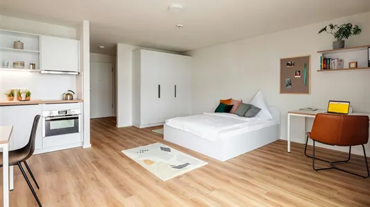 Apartments in Tübingen - photo 5