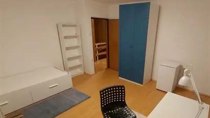 Room for rent in Besnica, Osrednjeslovenska
