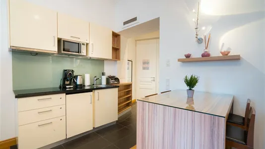 Apartments in Vienna Josefstadt - photo 5