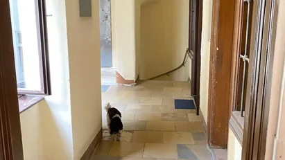 Room for rent in Vienna Leopoldstadt, Vienna