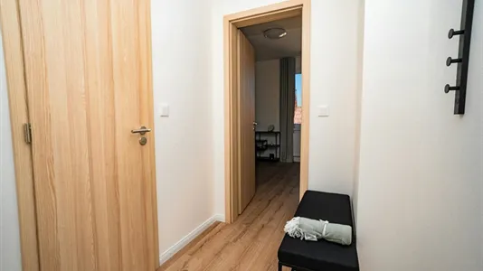 Apartments in Plzeň-město - photo 6