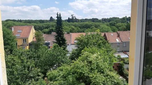 Rooms in Brussels Watermaal-Bosvoorde - photo 10