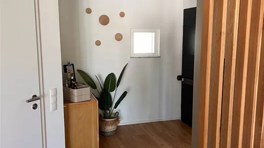 Apartments in Bonn - photo 8