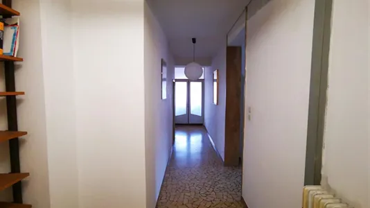 Rooms in Padua - photo 4