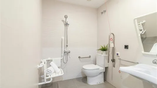 Apartments in Enramadilla - photo 7