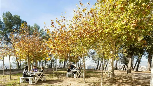 Apartments in Granada - photo 6