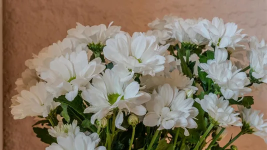 Apartments in Barcelona Eixample - photo 9