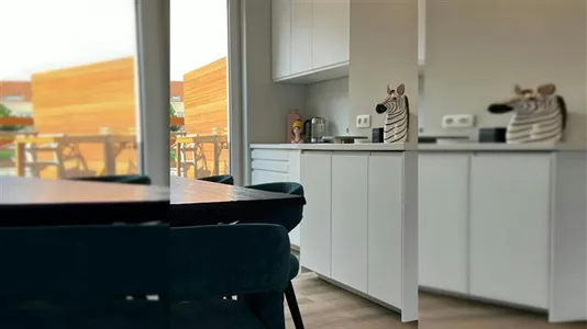 Apartments in Brussels Sint-Pieters-Woluwe - photo 10