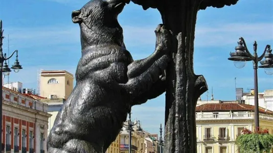 Rooms in Las Barranquillas - photo 9