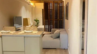 Apartment for rent in Barcelona Ciutat Vella, Barcelona