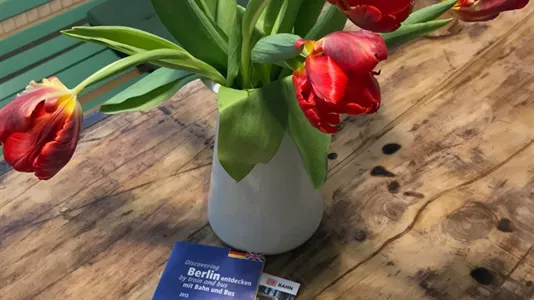 Apartments in Berlin Pankow - photo 9