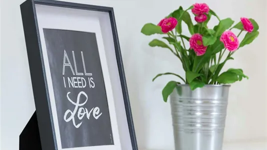 Rooms in Milano Zona 2 - Stazione Centrale, Gorla, Turro, Greco, Crescenzago - photo 8