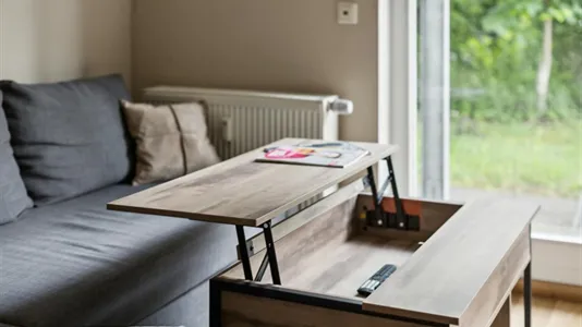 Apartments in Dresden - photo 3