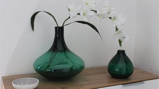 Apartments in Main-Taunus-Kreis - photo 6