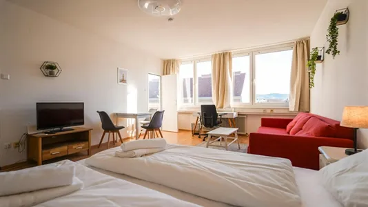 Apartments in Bad Fischau-Brunn - photo 4