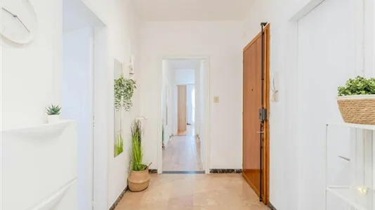 Rooms in Padua - photo 6