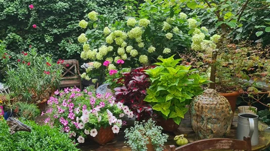 Rooms in Frankfurt Innenstadt I - photo 9