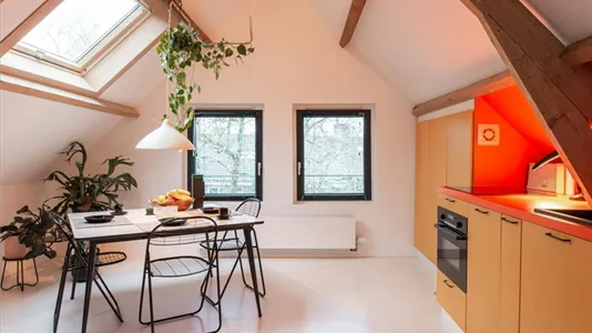 Apartments in Rotterdam Delfshaven - photo 7