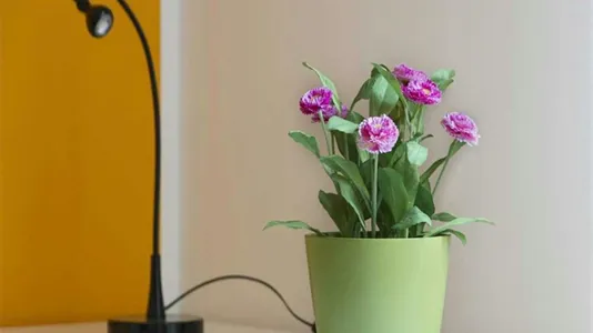 Rooms in Milano Zona 6 - Barona, Lorenteggio - photo 8