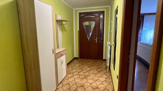 Apartments in Divača - photo 7