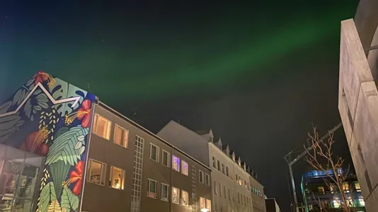 Rooms in Reykjavík Miðborg - photo 6