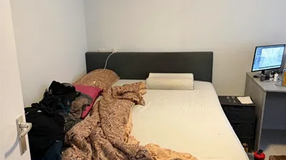 Room for rent in Rotterdam